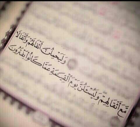 ‏“في كُلّ خَيبَه دَرس ؛ وَفِي كُلّ دَمعَة قُوة  وَفِي كُلّ ذَكرىّ صَبر ؛وفِي كُلّ حُزن الَم وَمِن الحَياةّ نَتعلمَ