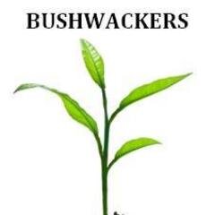 Bushwackers -  Lawn & Garden Care - Bushwackers is an upscale lawn and garden care service including lawn cutting, trimming, edging, and removal.