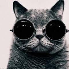 princezahumora's profile picture. ◢◤ Kažu da sam mrgud, ja ih prostrelim pogledom. Ne znam da kažem R. Neću napolje, gledam Game of thrones http://t.co/uNRuuoLuYv