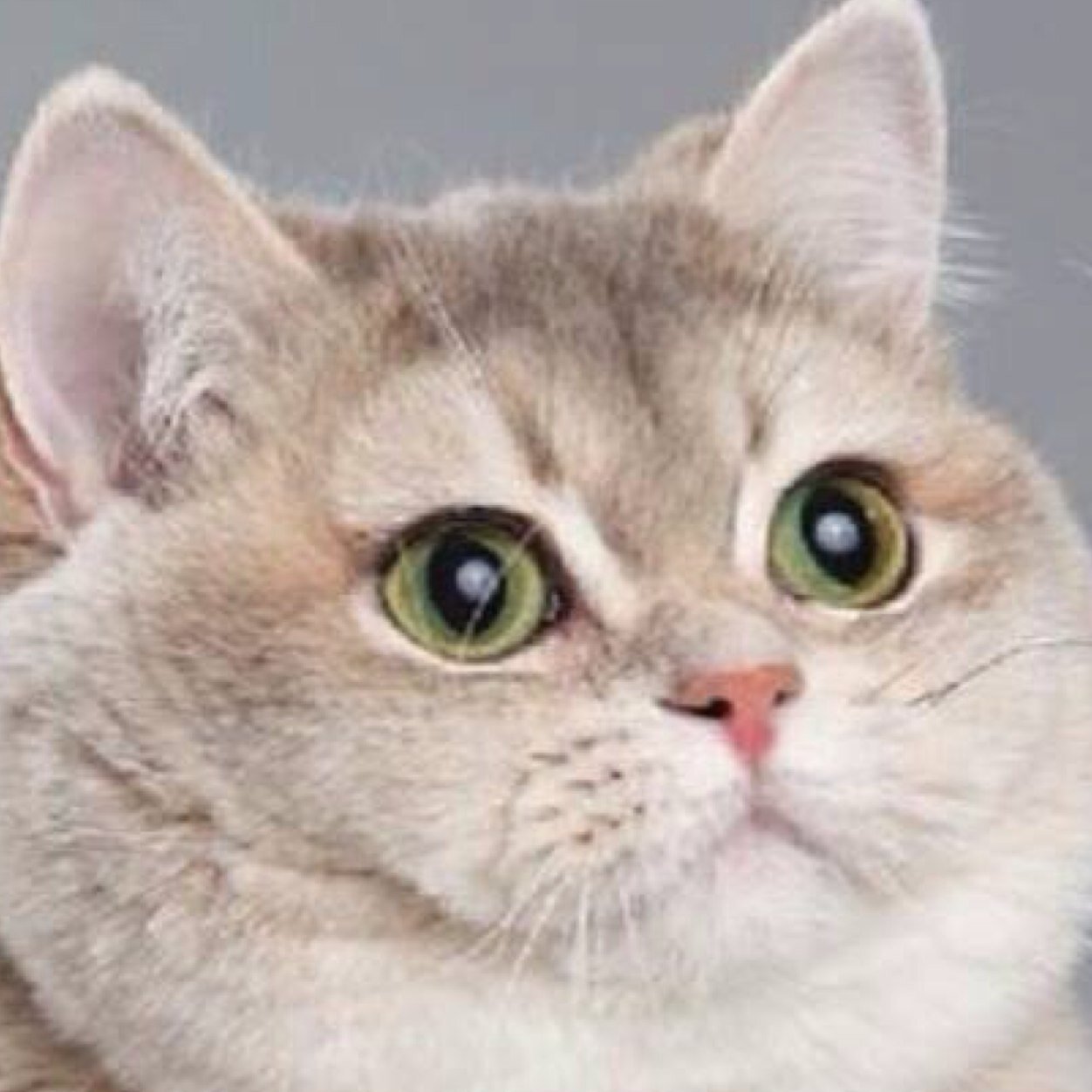 Scumpyshot40's profile picture. 