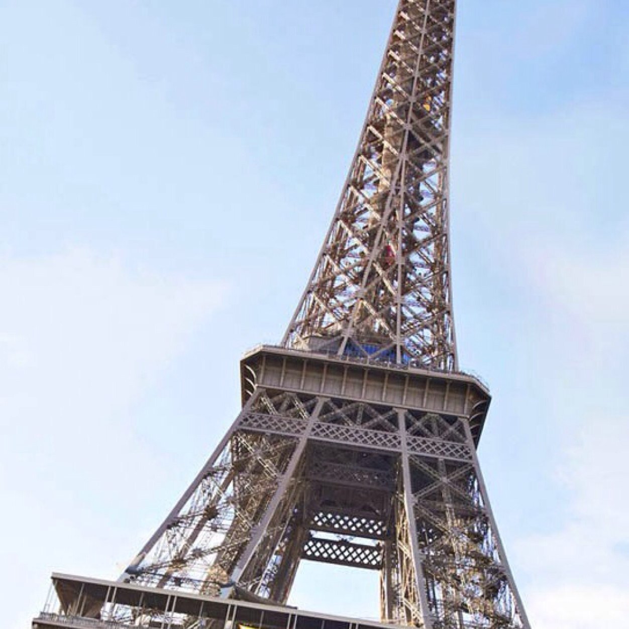 Rdd1613Merritt's profile picture. 