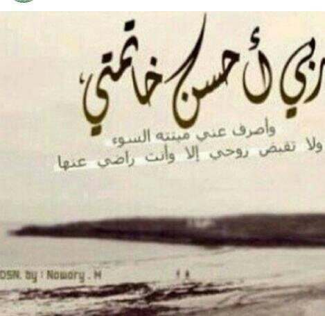 Shooshuo's profile picture. ‏اللهم استودعتك مالا يقوى
 قلبي على فقده .امي))