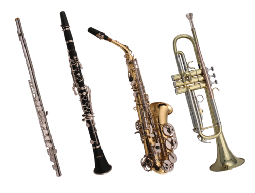 DBMSBand's profile picture. We are band we don't try we do. We speak band and we will suceed.