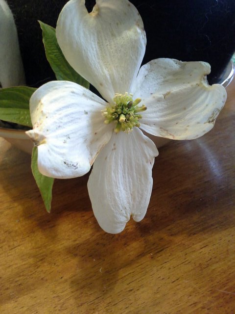 moosnan's profile picture. 