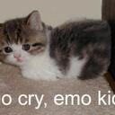 Foster Morris - @goddessofgoth - Twitter