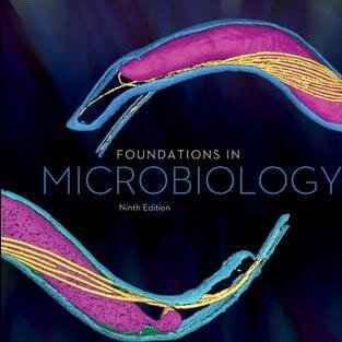 A fascination for writing about and teaching microbiology along with all things gross, stinky or illness inducing!