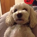 Barb Ferguson - @Barbiefergs - Twitter