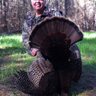 tyoung444's profile picture. Lover of Jesus, family, country,friends and the outdoors!