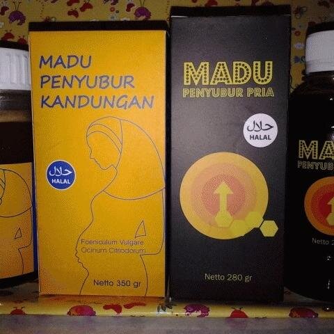 Program Hamil Sehat