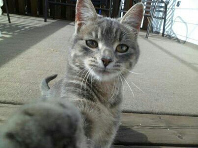 Gabrielpaco3's profile picture. PAKITO-99.yo te sigo pero si no me sigues dejare de seguirte