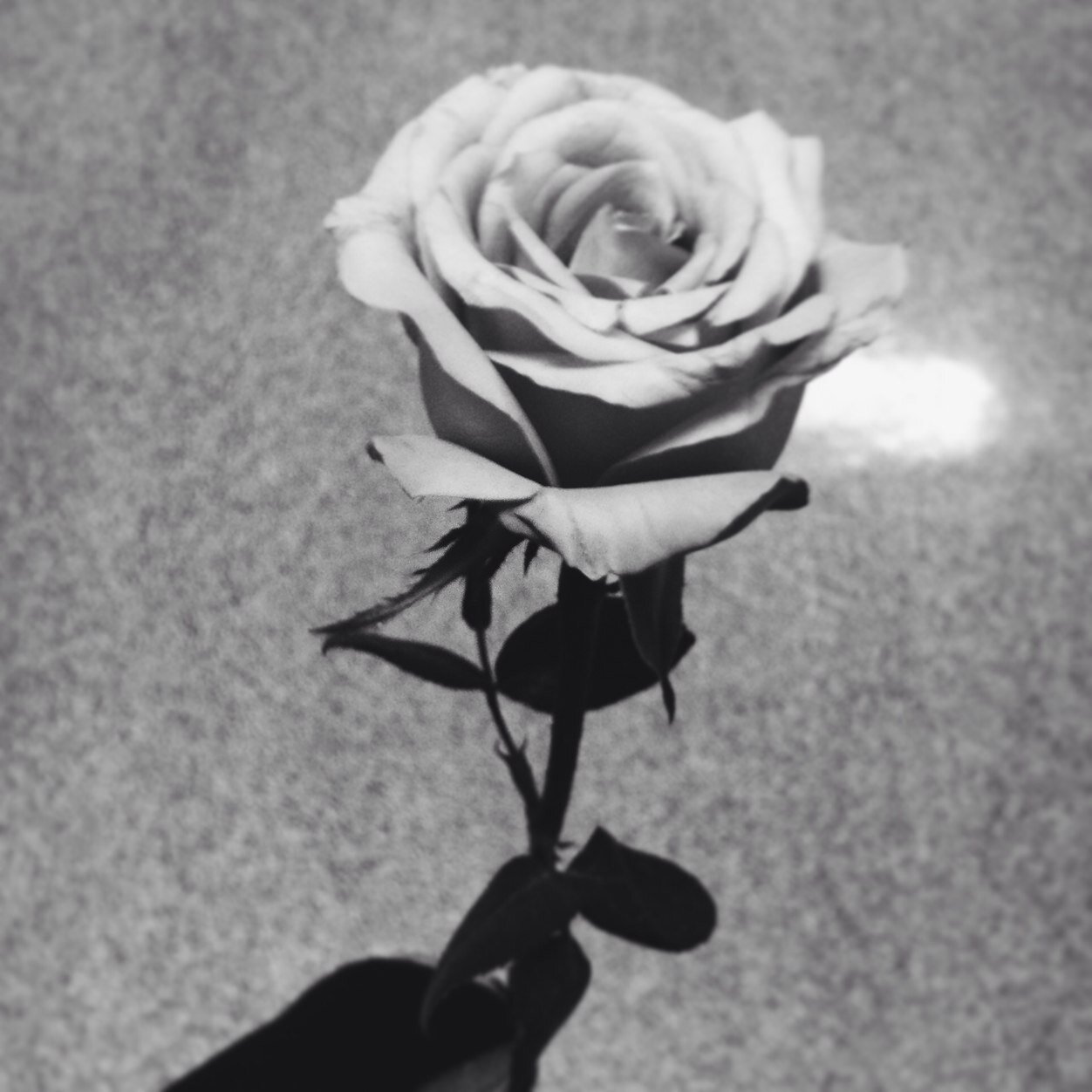 NaasihahN's profile picture. FVCK my LIFE