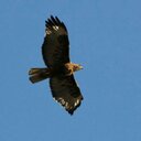 Cindy Sadler - @cindy_sadler - Twitter