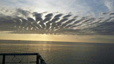 GEORGINAYT's profile picture. 