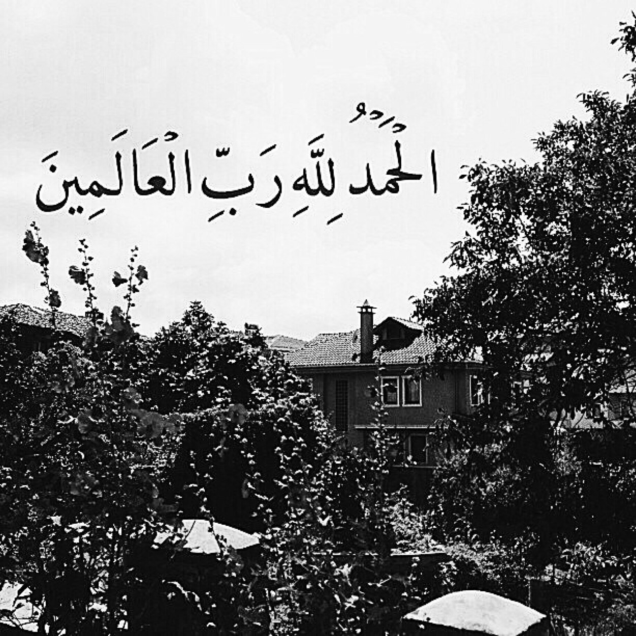 yarb_1 Profile Picture