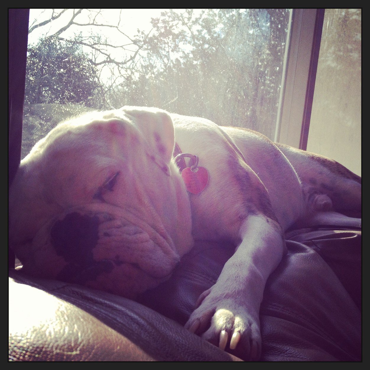 helenisabelle's profile picture. 