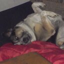 Anthony MacNeil - @AnthonySKM - Twitter