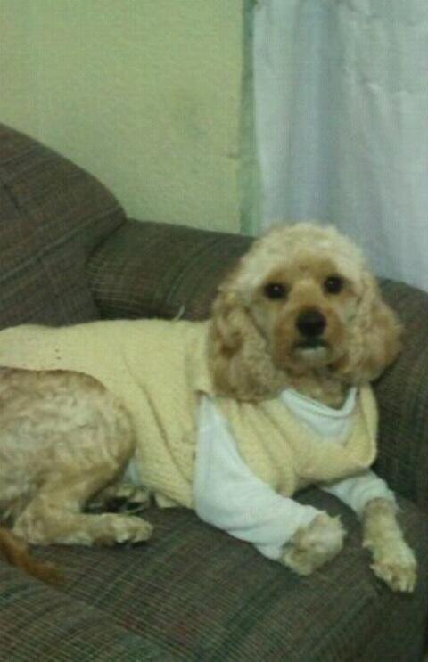 patytavera1's profile picture. 