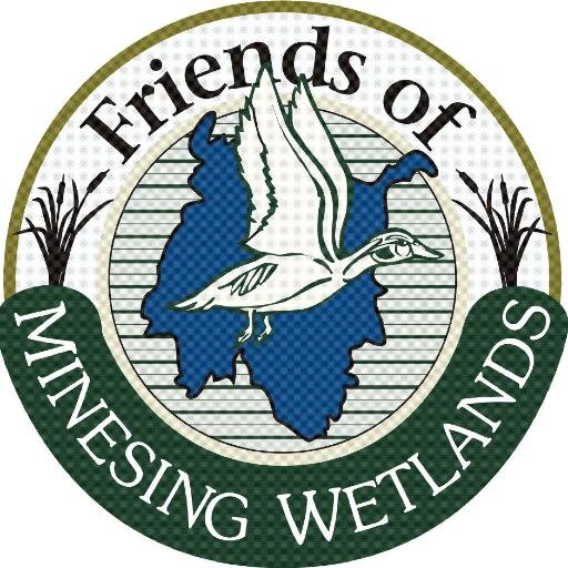 The Friends of Minesing Wetlands are a not-for-profit group that promotes the social and ecological values of the Minesing Wetlands