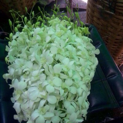 Profile Picture of ร้านลุงมังส์ดอกไม้สด (@PimsarnY) on Twitter
