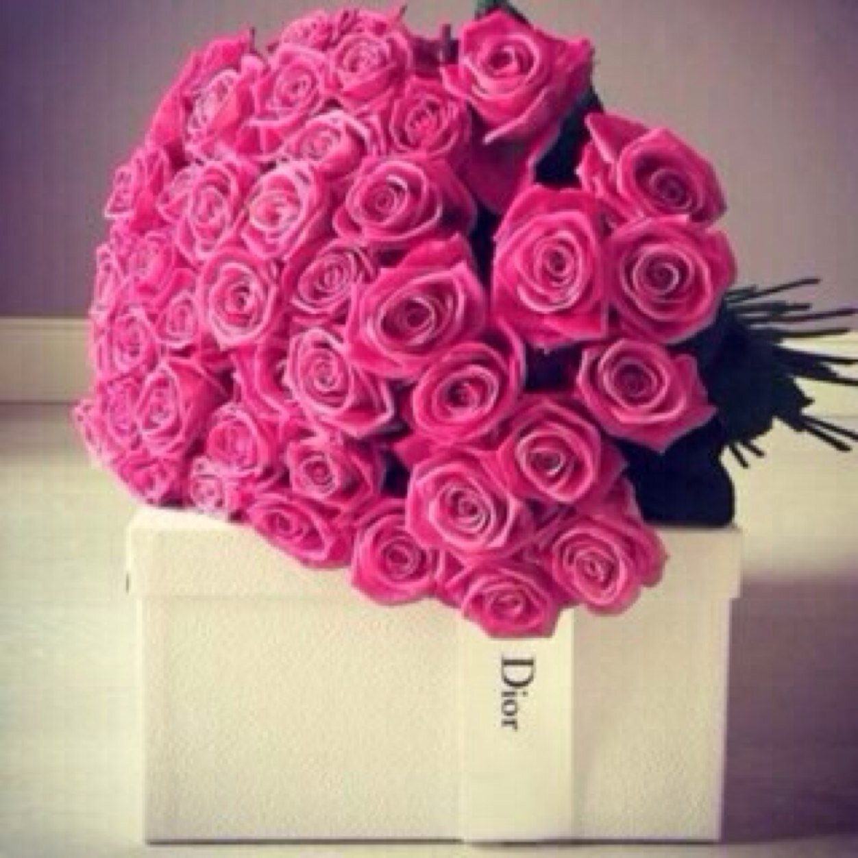 Manoooo101's profile picture. 