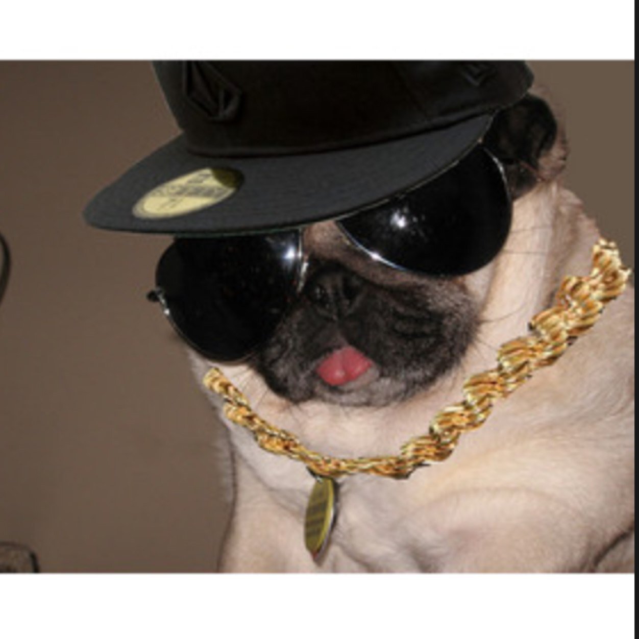 Straight puggin' : PUG wit us : Maddy kirchen : Abby skaalerud : Elise ward : Jaimee amundson : Madi komarek #NERF2014 #WaterPoloChamps