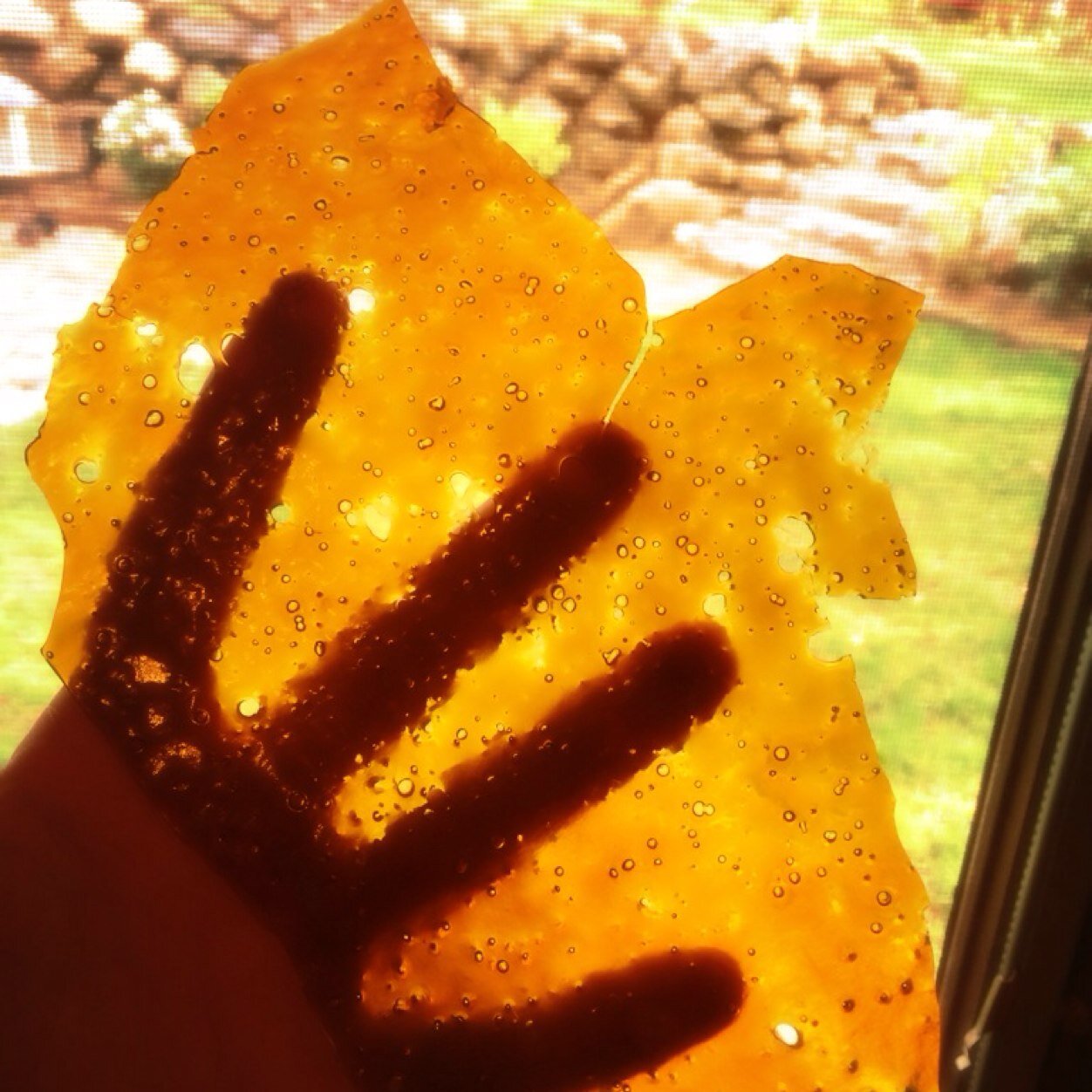 dabaholics's profile picture. 