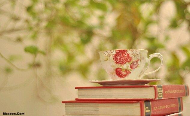 ‏هذا الكتاب أحبُهُ | لصاً يكون .. من يحاول نهبَه 
ومن إليَ يعيده .. محببٌ | وكذا الإله يحبُه