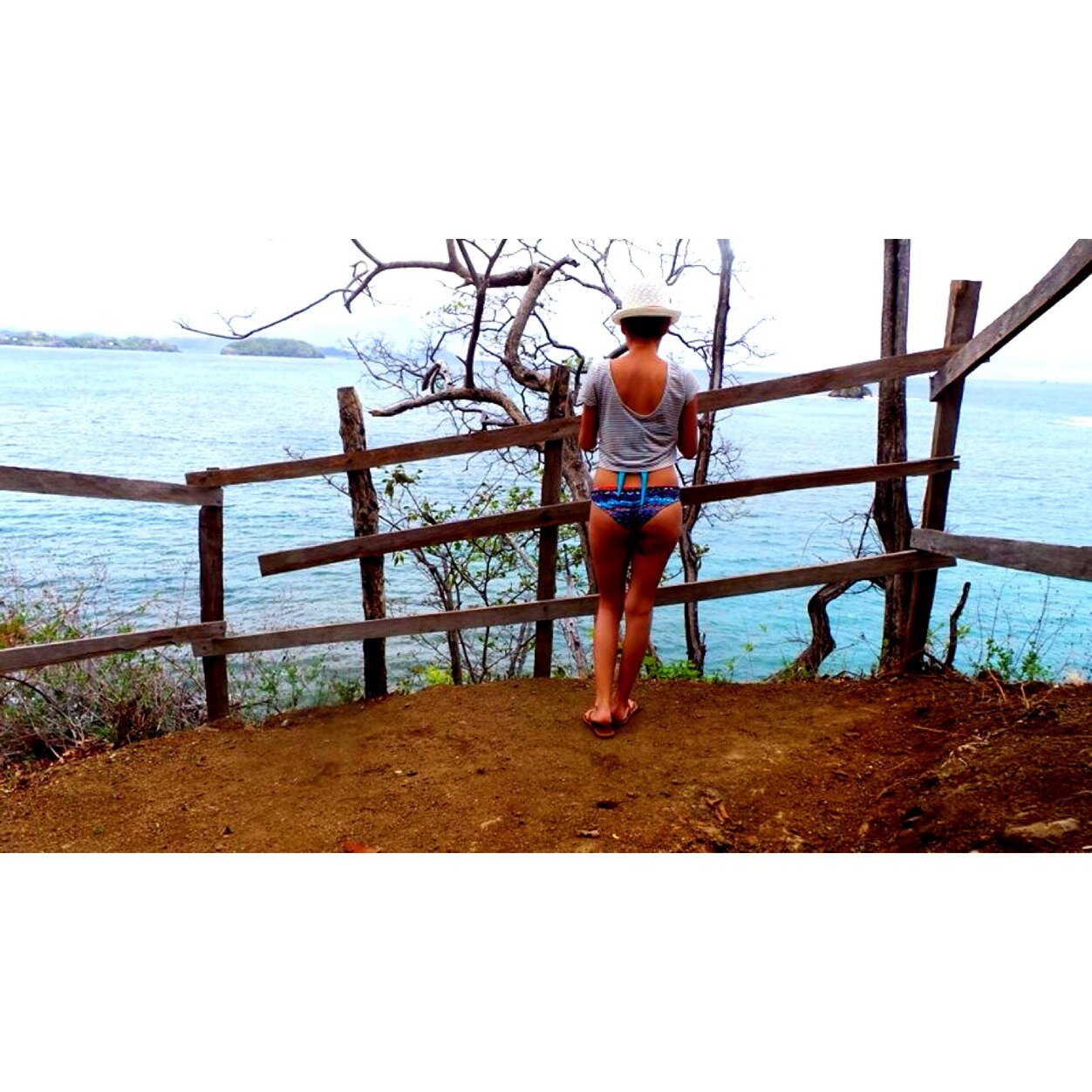 PiedraSharon's profile picture. 