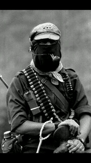 taguluche Profile Picture