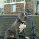 Ryan Ault - @AultRyan - Twitter