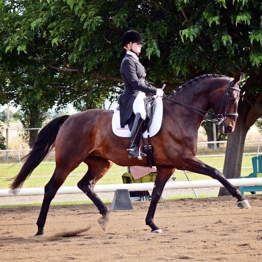 Dressage rider, runner, Chiropractor in training, animal lover (: Never let failure go to your heart, and never let success go to your head.
