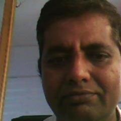 Shipping and logistic, Import and Export Industry professional