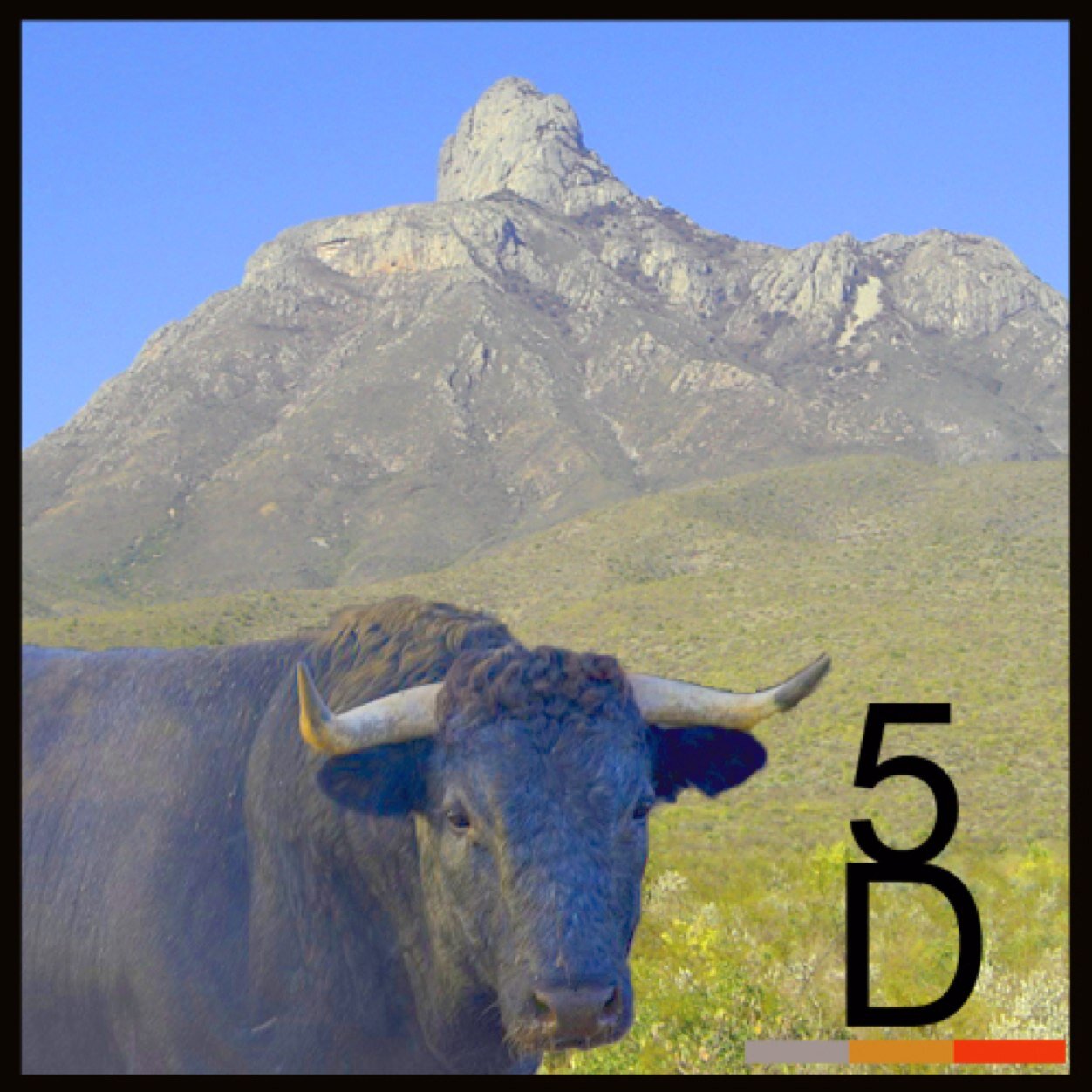 GanaderíaGolondrinas