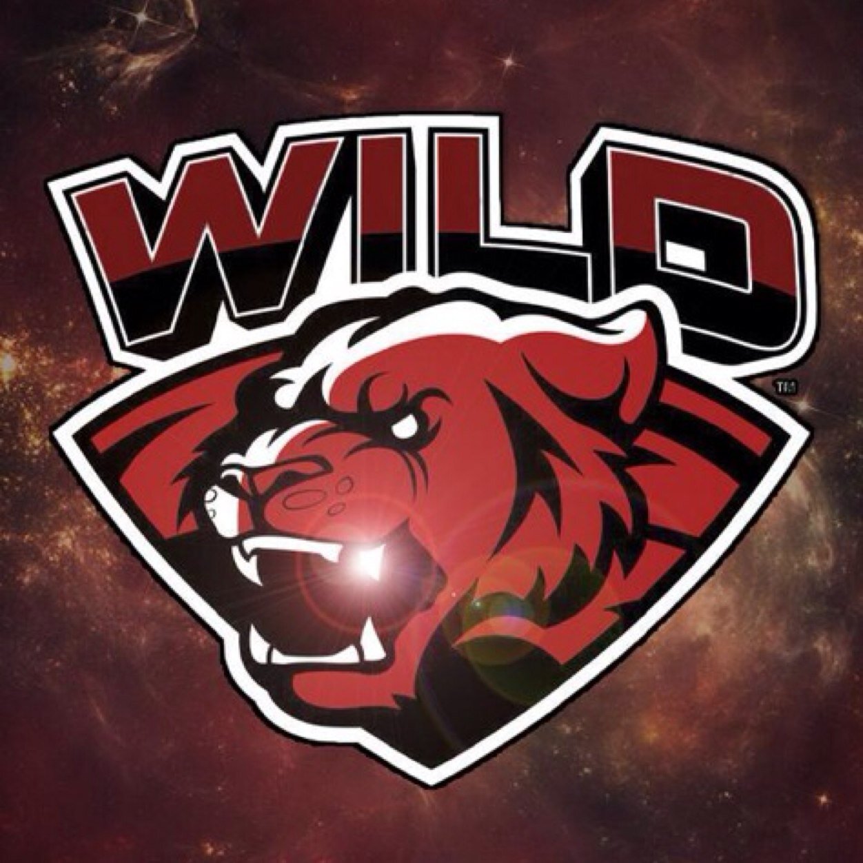 New @WiLDGamingCOD Sniping Team Twitter!