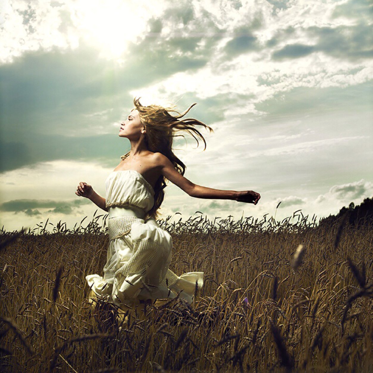 ThreshingBee's profile picture. 8 unique fashion boutiques all under one roof!