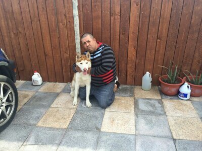 yovanihernande2's profile picture. 