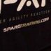 NIKE SPARQ Training (@nlkesparq) Twitter profile photo