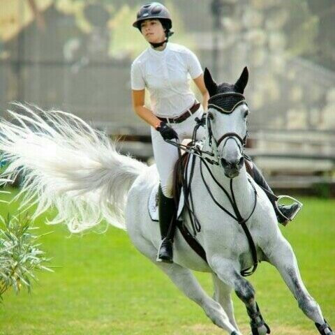 leasing a 14.2 bay TBxWelsh dressage pon and living off diet coke, coffee and cereal bars
