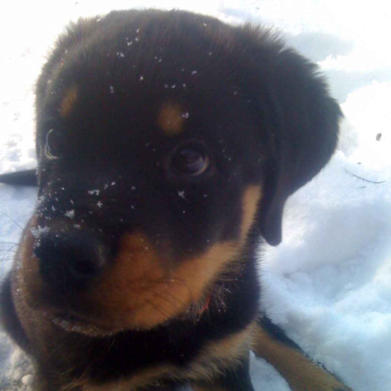 sounds_crazy_'s profile picture. 