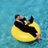 rulesva's profile image