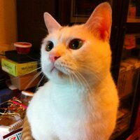 yuli (@yuli) Twitter profile photo