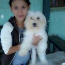 angelie mae galasan - @AGalasan - Twitter