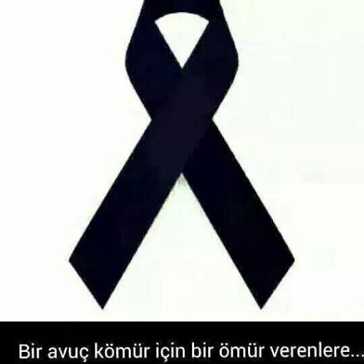 baskentkubranur's profile picture. 