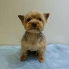 PinoMckksm's profile picture. 