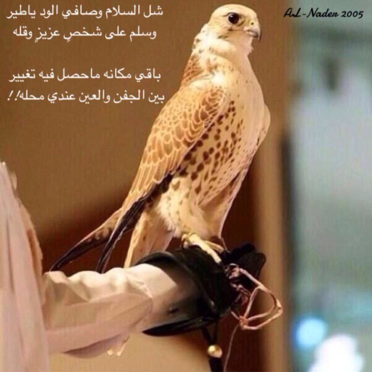 الله ثم المليك والوطن 🇸🇦            حالمون... قادرون... قادمون..