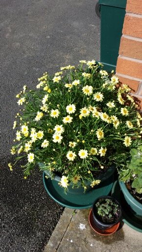 LizaDan's profile picture. We are both geeks and nerds, and now we're married!