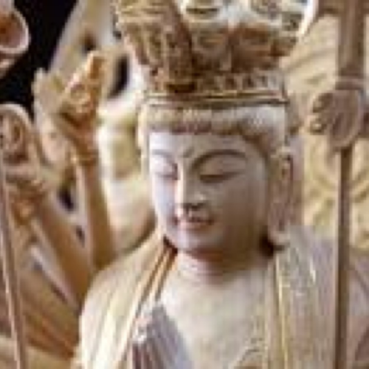 sachiko152's profile picture. 高知→東京 社会人２年目