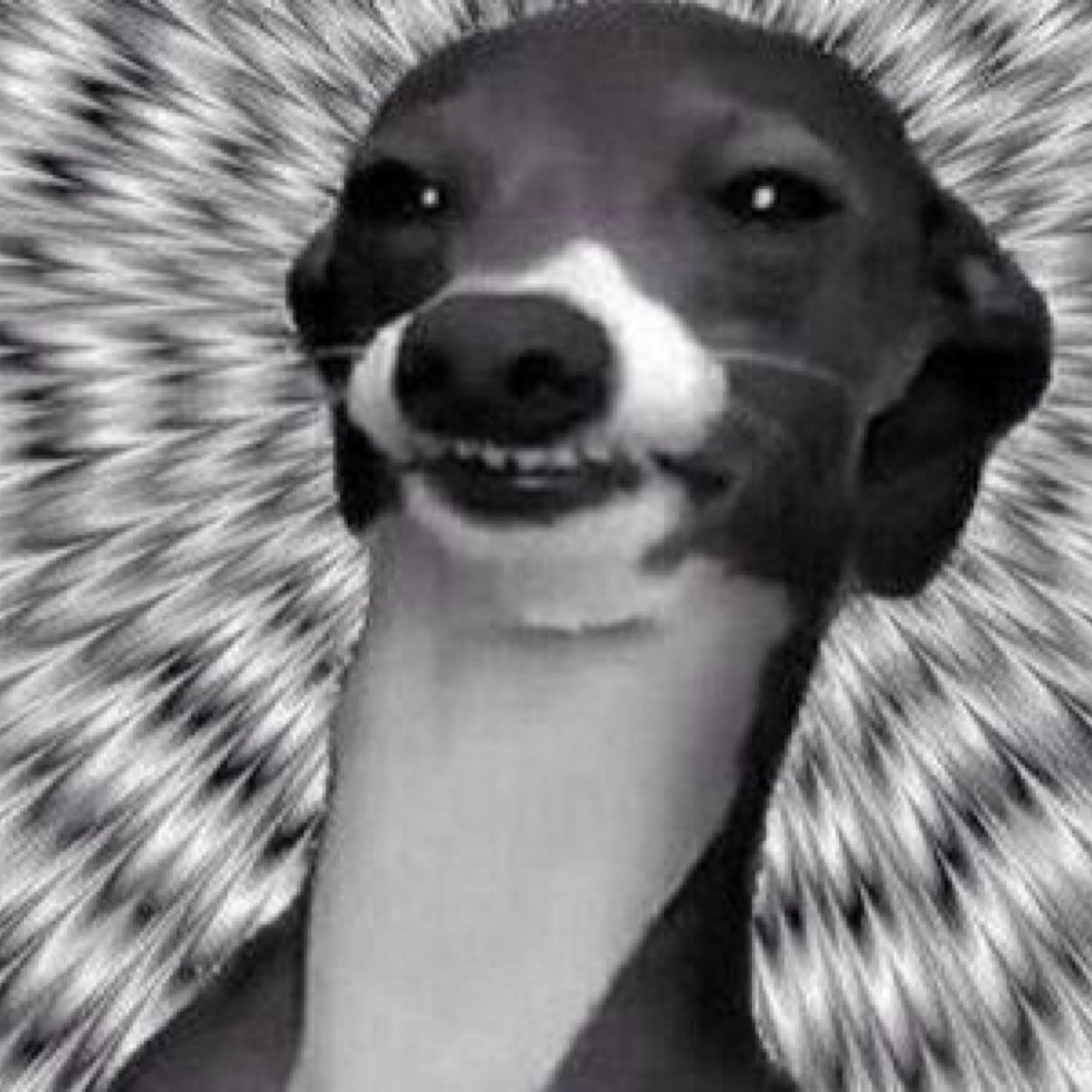 janoskians are fab, okay? okay. idk check out my book on wattpad -- http://t.co/fzHC2ZDBYJ