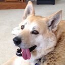 Keith Aldrich - @kfa675 - Twitter