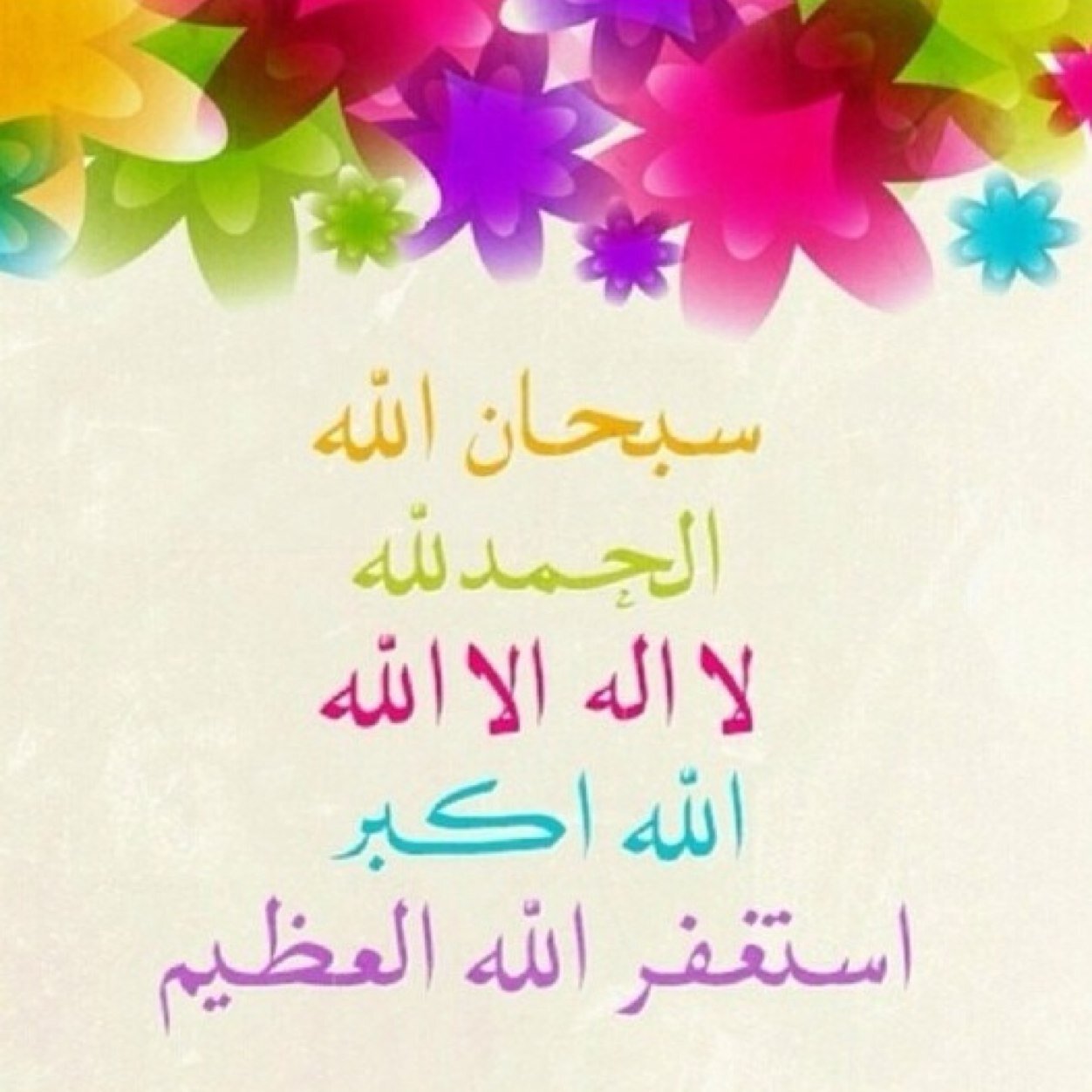 asalah_s Profile Picture